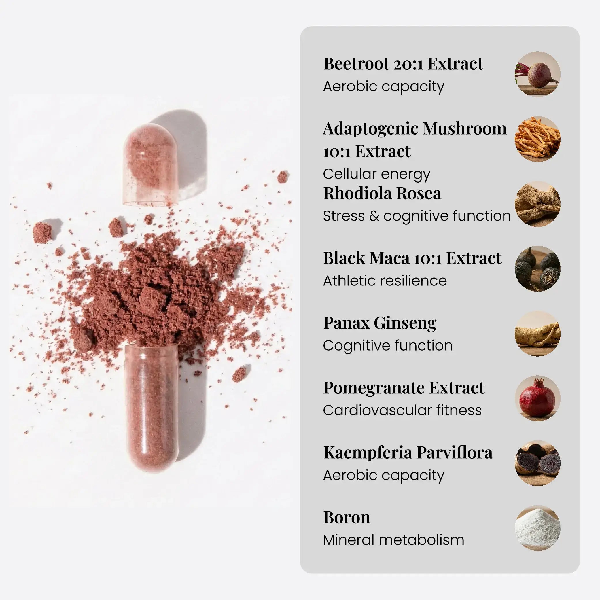 Natural Energy, Focus and Recovery Complex